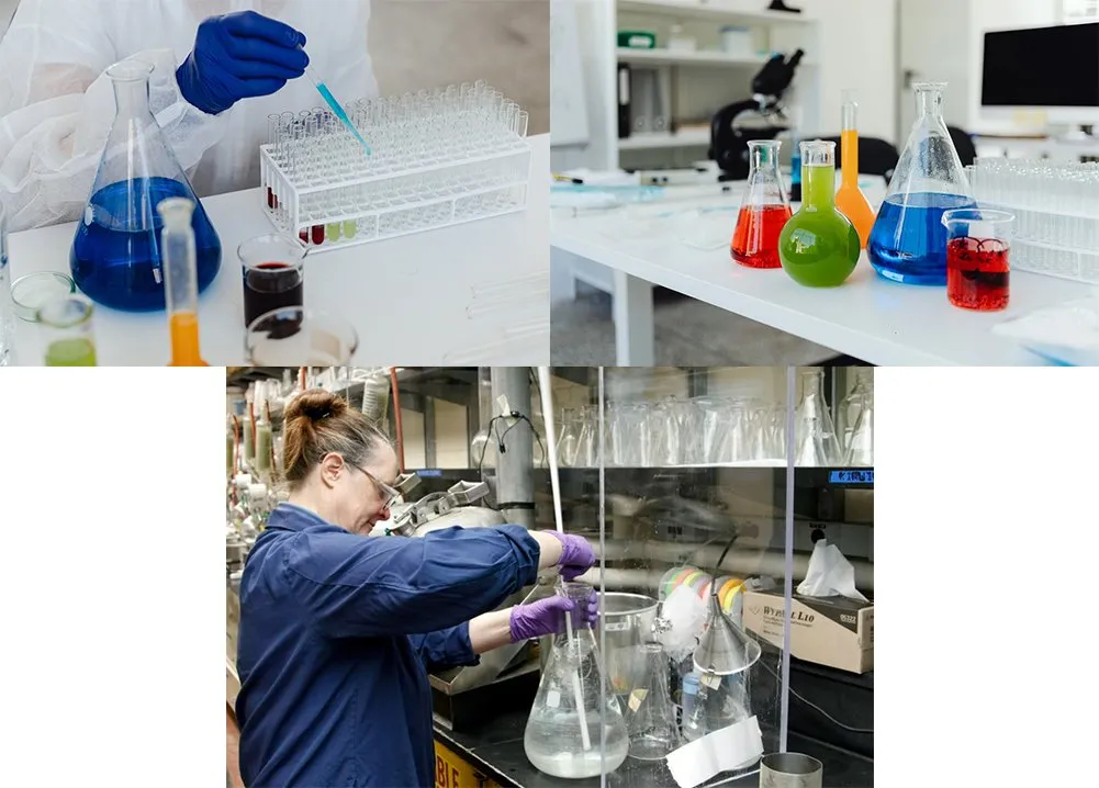 application of erlenmeyer flask 250m