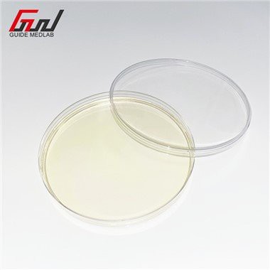 Plastična petri posoda 100mm